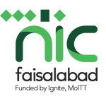 NIC logo